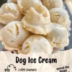 Dog Ice Cream 3 dog ice cream 2026 03 21 032221 1